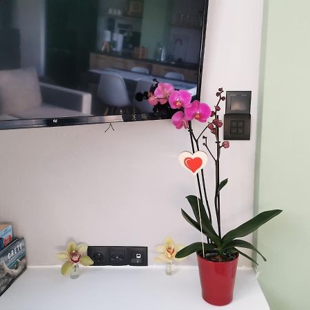 Dioni Lux Daire Ayos Nikolaos Dış mekan fotoğraf